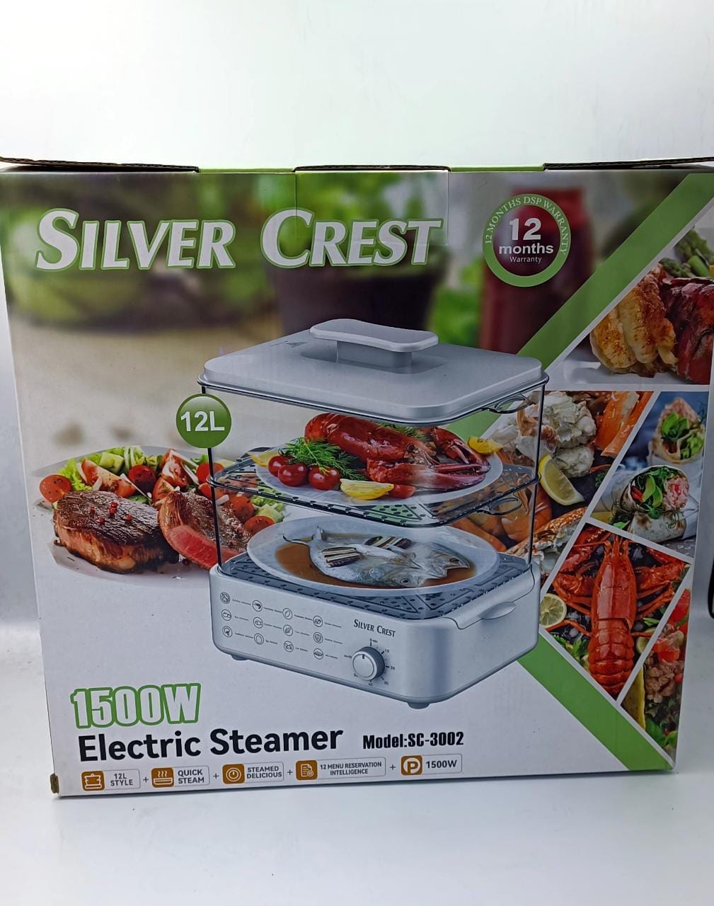 Electric Steamer and Defroster